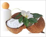 Coconut oil may prevent tooth decay
