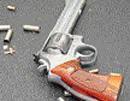 Constable kills sub-inspector near Bangalore