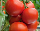 5 health benefits of tomatoes