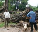 Shirva: 200 years old Banyan tree falls on road