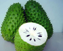 Soursop: The Thorny Graviola Fruit-Is it natural ‘miracle’ remedy for cancer?