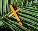 Palm Sunday Showcases Christ’s Kingship
