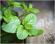 Try the magic of peppermint for health
