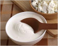 A mouthful of curd for good health