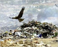 Bangalore: No weddings in garbage village