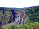 Travelogue: Exciting journey to Jog Falls-the Second-highest Plunge Waterfall in India