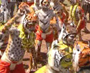 Udupi: Tiger Dances Add Glamour to Ganeshotsava Celebrations