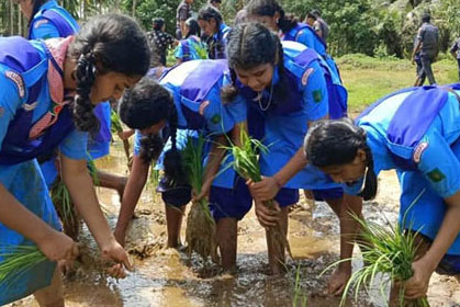 ’A Day in a Paddy Field’ organized by Don Bosco English Medium School Shirva