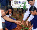 Vanamahotsav Celebrated at Govt High School, Vakwady